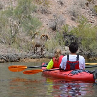 Kayak Hoover Dam with Hot Springs in Las Vegas