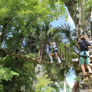 Zipline Adventure through Tuscawilla Park