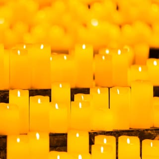 Candlelight: Vivaldi's Four Seasons