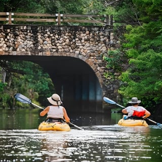 Wild & Scenic Loxahatchee River Guided Tour