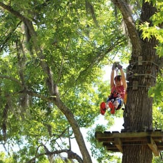 Zipline Adventure through Tuscawilla Park