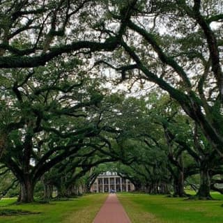 Oak Alley and Laura Plantation Tour with Transportation from New Orleans