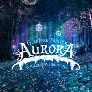 Aurora Winter Wanderland: An Immersive Night Walk