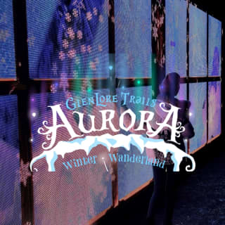 Aurora Winter Wanderland: An Immersive Night Walk