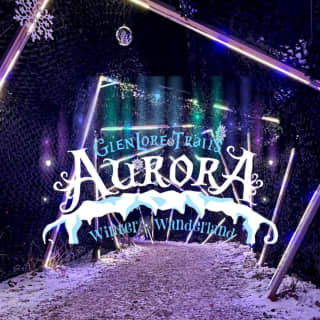 Aurora Winter Wanderland: An Immersive Night Walk