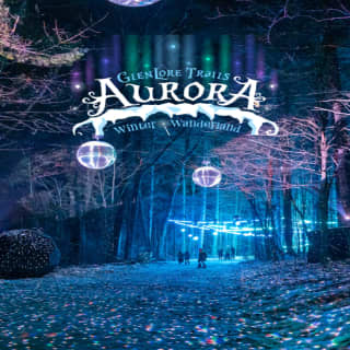 Aurora Winter Wanderland: An Immersive Night Walk