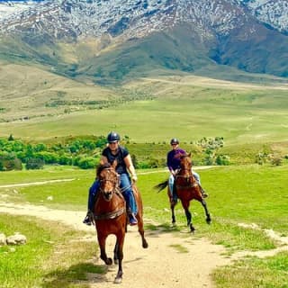 Cardrona High Country Pub Trail Horse Riding Trek (adventurous)