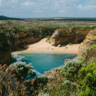 Great Ocean Road: Small Group Eco Tour from Melbourne