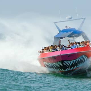 Boston Codzilla High-Speed Thrill Boat Ride