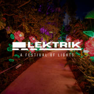 Lektrik: A Festival of Lights