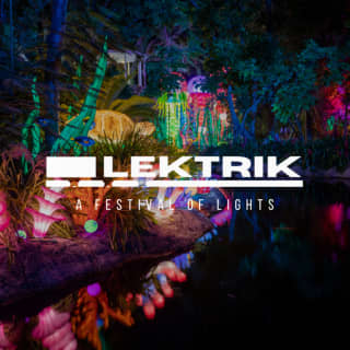 Lektrik: A Festival of Lights