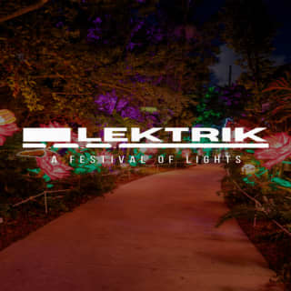 Lektrik: A Festival of Lights