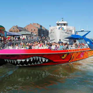 Boston Codzilla High-Speed Thrill Boat Ride