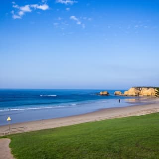 Great Ocean Road: Small Group Eco Tour from Melbourne