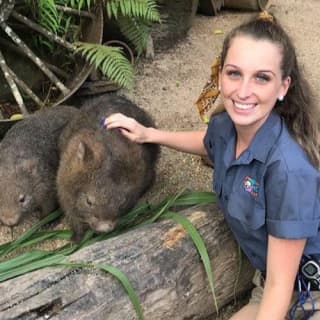 Kuranda Koala Gardens