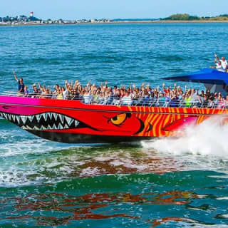 Boston Codzilla High-Speed Thrill Boat Ride