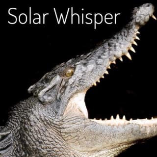 Solar Whisper Daintree River Crocodile and Wildlife Cruise