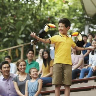 Jurong Bird Park: The World's Largest Bird Park