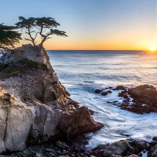 Monterey, Carmel and 17-Mile Drive: Full Day Tour from SF