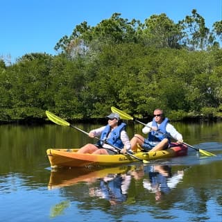 2 Hours Guided Robinson Preserve Mangrove Tour