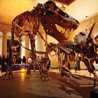 Admission: Natural History Museum of Los Angeles County