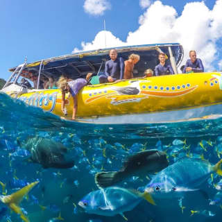 Whitsundays Ocean Rafting: Snorkel, Walk & Whitehaven Beach