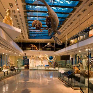 Admission: Natural History Museum of Los Angeles County