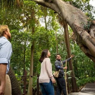 Aboriginal Heritage Walk - Royal Botanic Gardens Victoria, Melbourne Gardens