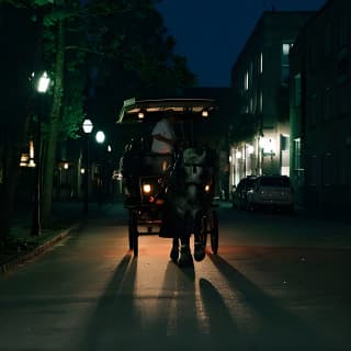 Haunted Evening Horse and Carriage Tour of Charleston