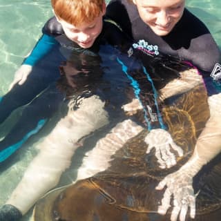 Irukandji Shark & Ray Encounters