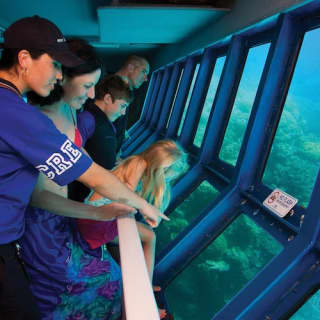 Great Barrier Reef Adventure