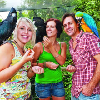 Birdworld Kuranda