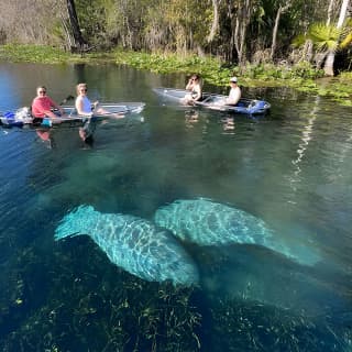 Silver Springs: Clear Kayak Wildlife Adventure