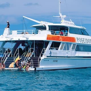 Poseidon Outer Great Barrier Reef Snorkeling and Diving Cruise from Port Douglas