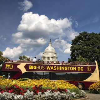 Washington D.C. Night Tour