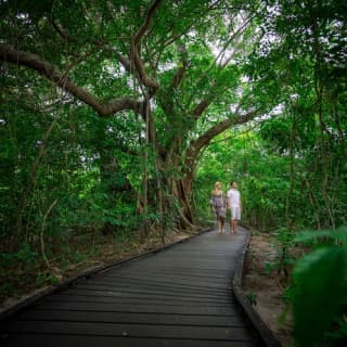 Green Island Tour: Catamaran Cruise from Cairns