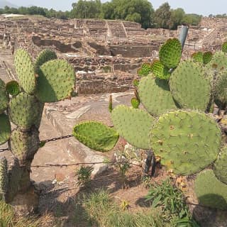 Guided Walking Tour to the Archaeological Zone of Teotihuacán