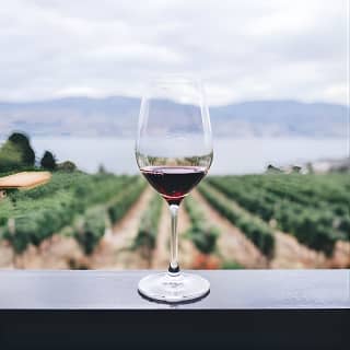 Napa and Sonoma Wine Country Full-Day Tour from San Francisco
