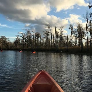 Manchac Swamp Kayak Tour