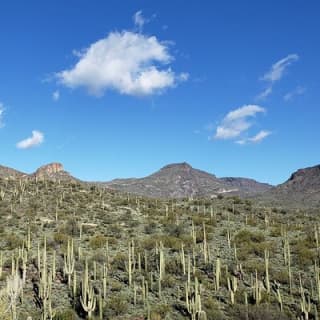 1-2 Hour Jewel of the Creek Private Guided Hiking Tour