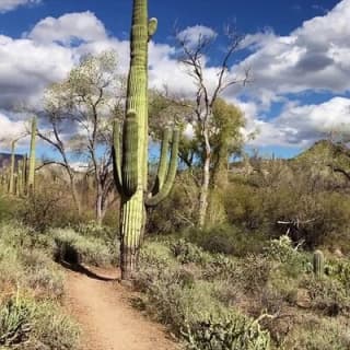 1-2 Hour Jewel of the Creek Private Guided Hiking Tour