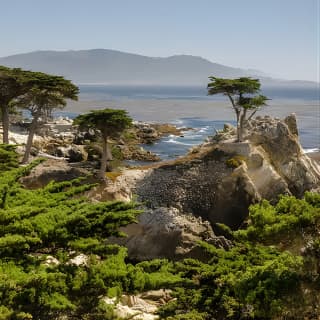 Monterey, Carmel and 17-Mile Drive: Full Day Tour from SF