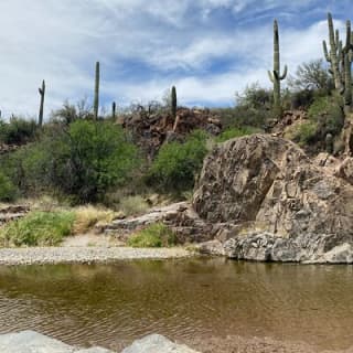 1-2 Hour Jewel of the Creek Private Guided Hiking Tour