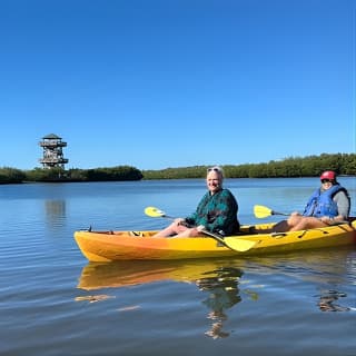 2 Hours Guided Robinson Preserve Mangrove Tour