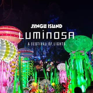 Luminosa: A Festival of Lights