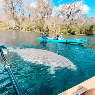 Silver Springs Glass Bottom Kayak Tour!