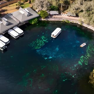 Silver Springs: Clear Kayak Wildlife Adventure