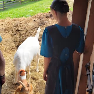 Unique Amish Immersion in Lancaster