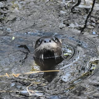 Wild & Scenic Loxahatchee River Guided Tour