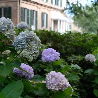 Botanical Tour (by Walk With Me Savannah Tours)